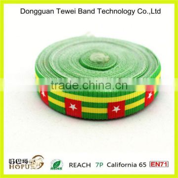 CE high quality polyester material webbing slings