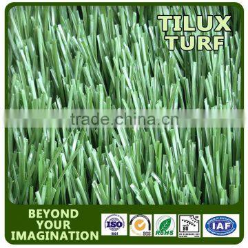 America Football Grass photo-3