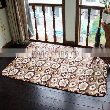 Coral fleece Carpet and Rugs new design with anti-slip base