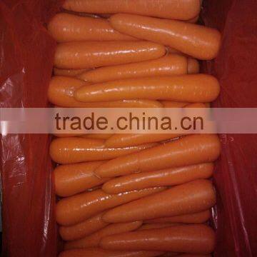 2014 own planting base new crop China Fresh Carrot