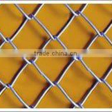 chicken fence chain link fence(factory)