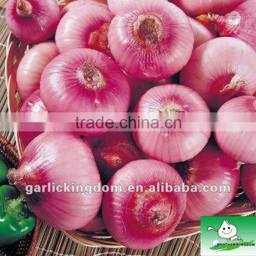 Fresh red onion/Onion price/Onion China origin