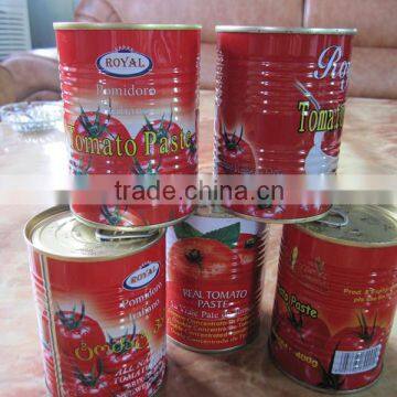 HACCP factory supply Tomato Paste concentration 28/30