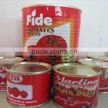 Sweet and sour canned tomato paste for Africa,Middle East