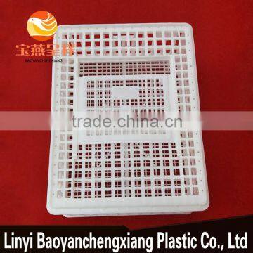 Plastic Transportation Cage for Transport Chicken Duck Birds Cails Quail Pigeon Rabbit Turkey photo-6