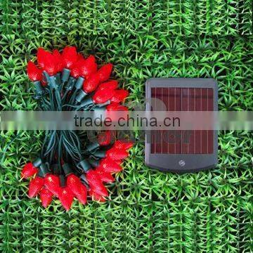 LED Solar String Light(C7 Strawberry)
