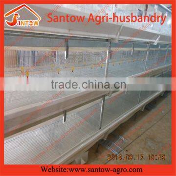 Poultry H type battery broiler chicken cages with PP belt and manure removal system