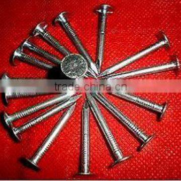 malaysia market cupper nails