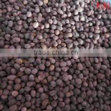 Kapok Seed Meal photo-5