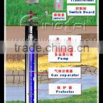 Electric Submersible Pump System