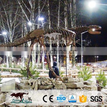 Jrassic Park Realistic Dinosaur Skeleton For Sale