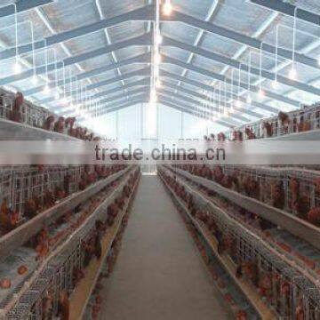 Prefab light steel structure chicken houses                        
                                                Quality Choice