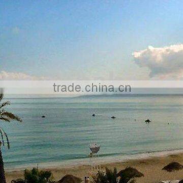 SHUNDE/NANHAI TO LATTAKIA (shipping service/door delivery)-----kelly