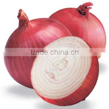 Fresh Onion