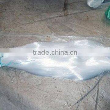 Fish net on sale