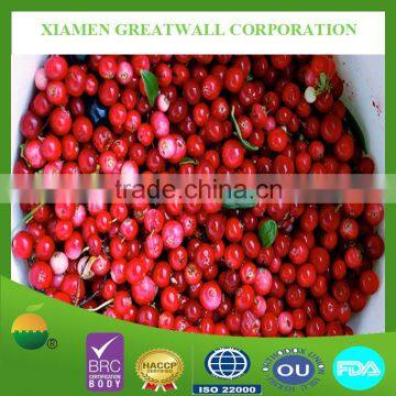 2015 new crop frozen lingonberry