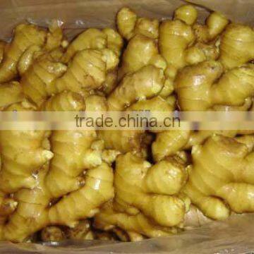 Varieties of ginger