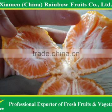 fresh fruits supplier of Mandarin orange kino