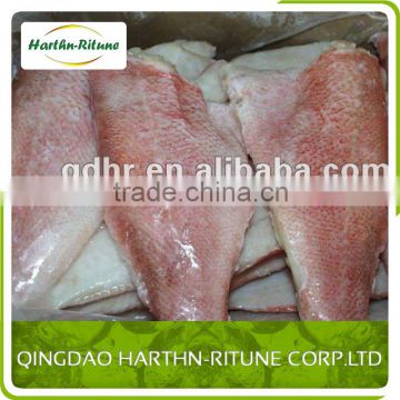 frozen redfish fillet