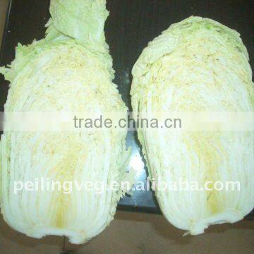 Fresh Green Cabbage Chinese 2011