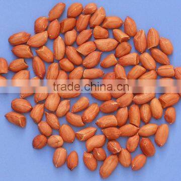 New crop 2013 Bold Peanuts 50/60