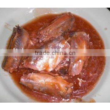 canned mackerel fish in tomato sauce