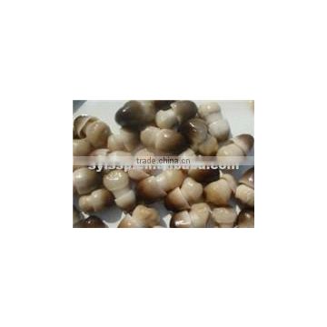 CANNED STRAW MUSHROOM