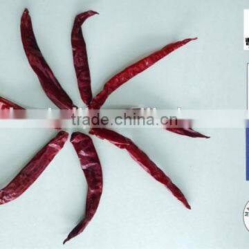 2015 new crop pollution-free top quality dried erjintiao chili