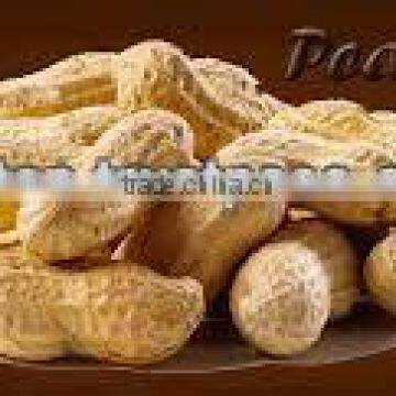 Groundnut seeds