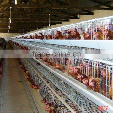 Poultry Cages