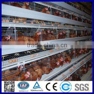 2015 hot sale A type 3 tiers 4 tiers Poultry cage for African Market