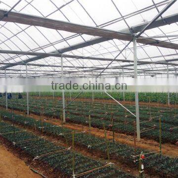 Chinese Large 10 Meters Multi-Span Plastic Film Greenhouse, Vegetables Greenhouse photo-3