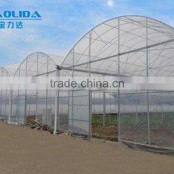 Factory Price BLD001 Plasctic Film Cover Greenhouse for Agricultural and Commercial Use photo-6