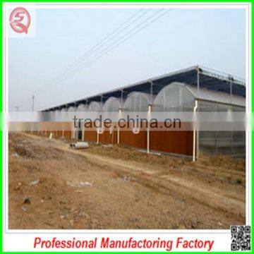 High Quality Multi-span Agricultural Film Greenhouse Frame for Sale photo-6