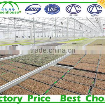 Multi-Span Type and Large Size PC Sheet Commercial Greenhouse