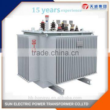 10kv Oil Immersed Distribution Special Transformer photo-6