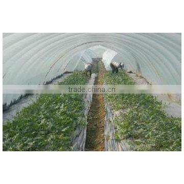 Agricultural greenhouse plastic film