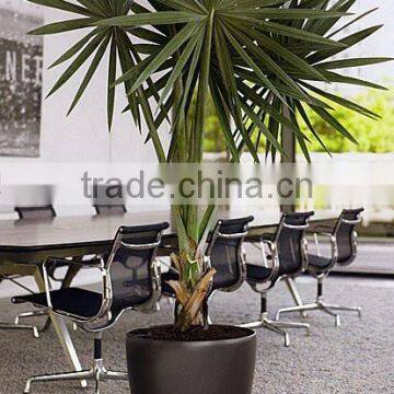 Ceramic Finish Flower Pot and Tree Planters for Garden photo-2