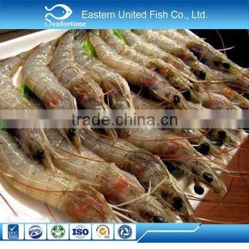 hot sale IQF iqf fresh vannamei shrimp