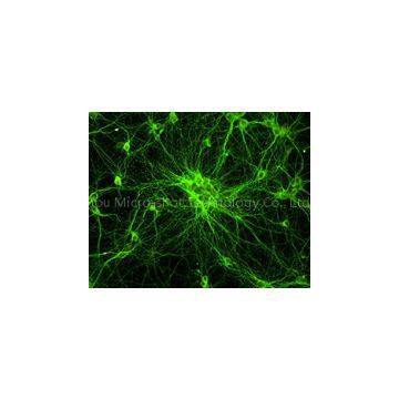 1.4MP CCD Camera MC20-N / MC20-M-N