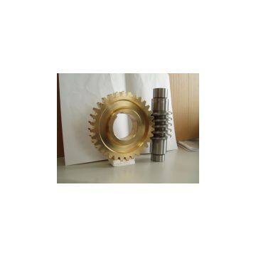 High Quality of Worm Gear