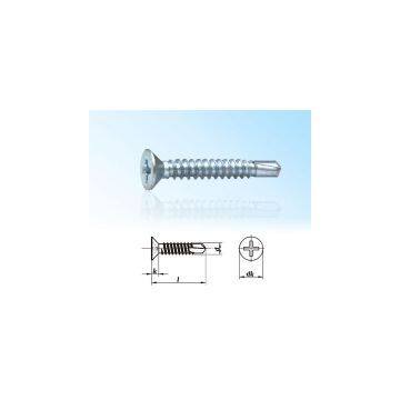 Raised Countersunk Head Philips Self-Drilling Screw DIN7504-Q