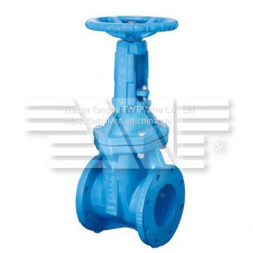 Rising Soft Seated Gate Valve