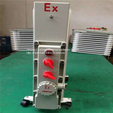 BDR explosion-proof electric heating oil heater CBDR BYT explosion-proof electric heating oil heater 2000w