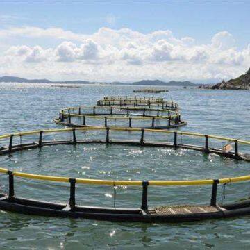 Wear Resistance Floating Fish Cage Cage Fish Farming