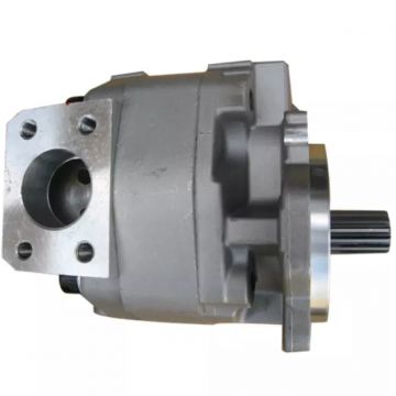 Komatsu Parts 705-52-30491 Komatsu Hydraulic Pump Pilot Pump 705-52-30491 7055230491