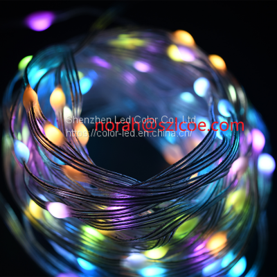 Festival decoration Leather string led light strip kit with smart controller RGB color changed light kit