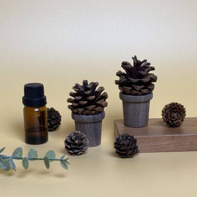 Solid Wood Natural Pine Cone Diffuser