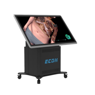 55-inch 3D Medical Display Virtual Anatomy Table, Fully Laminated Touch Screen, Capacitive Touch Screen Virtual Anatomy Table