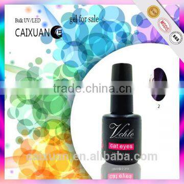 V.chlo Wholesale Gel Color Polish Soak off Cat Eye Gel Polish photo-5